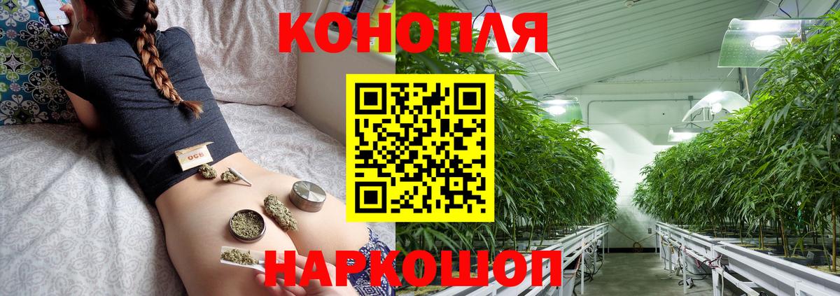 Шишки марихуана план  Вход с VPN  Конопля семена  Балашов 